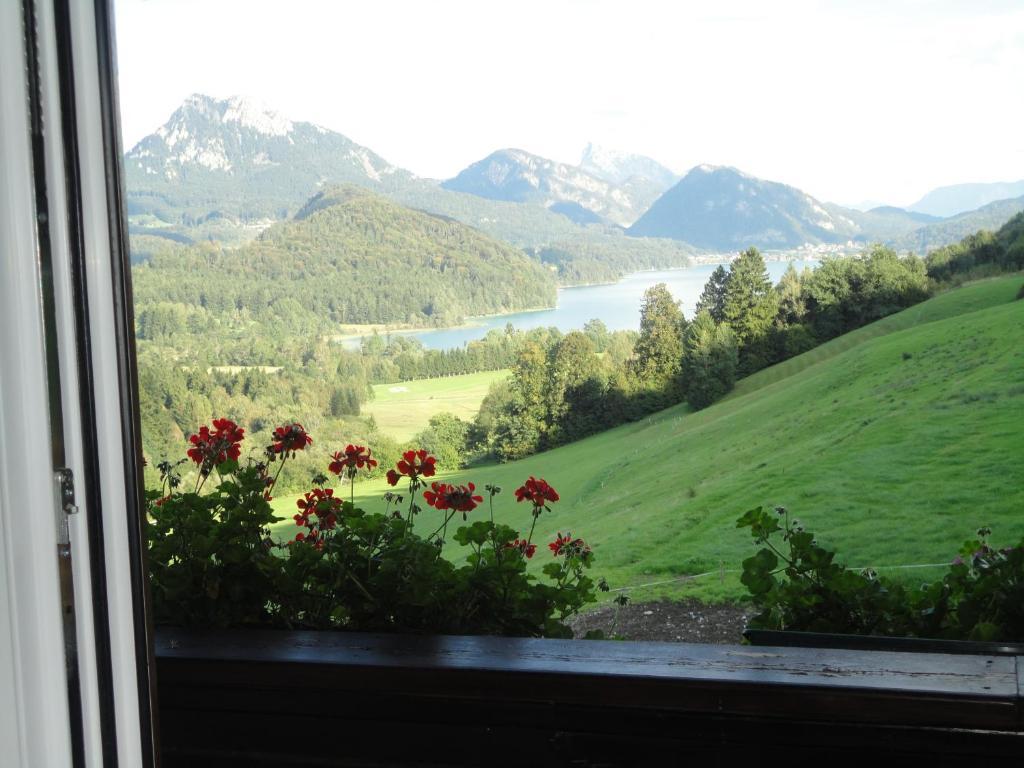 Bauernhof Strumegg Hof bei Salzburg Habitación foto